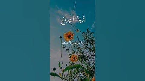 دعاء الصباح #اكسبلور #تيك_توك #القران الكريم #الرحمن