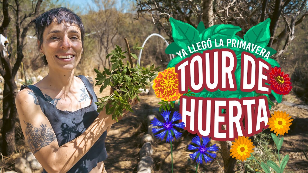 ¡Al fin este momento que estábamos esperando! | Huerta, tomates y cuidarse