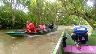 Download Lagu Di Ujung Sungai Yang Kumuh, Ternyata Ada Spot Indah Mirip Kanopi 5 MP3 Download Lagu Di Ujung Sungai Yang Kumuh, Ternyata Ada Spot Indah Mirip Kanopi 5 MP3