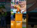 amiibo fans beed to hear this😳 #amiibo #nintendo #switch  #switch2