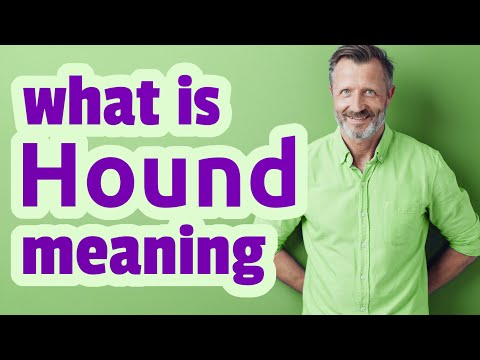 what is the meaning of hound
