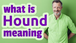 what is the meaning of hound