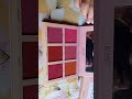 IMAgIC PROfessional cosmetics -Touch Blush Palette
