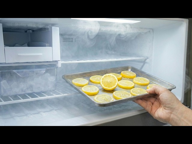 Sliced Lemon In Fridge