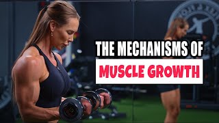 Mechanical Tension & Muscle Growth: The Truth About Heavy vs. Light Weights
