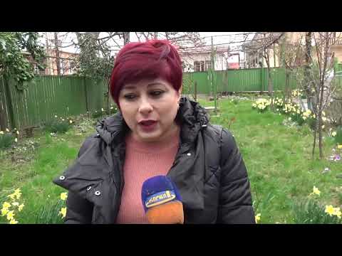 ქუთაისის მუნიციპალიტეტმა გენდერული თანასწორობის მიმართულებით კამპანია დაიწყო