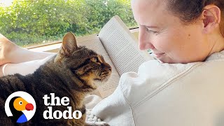 Senior Cat Turned Into A Literal Infant When She Got Adopted | The Dodo