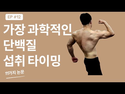 [단백질 섭취2편] 단백질 언제 먹지? 기회의 창이 진짜인가?ㅣ 단백질 2편 논문에게 물어봐 시리즈