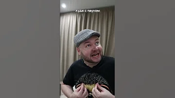 Худи с пауком