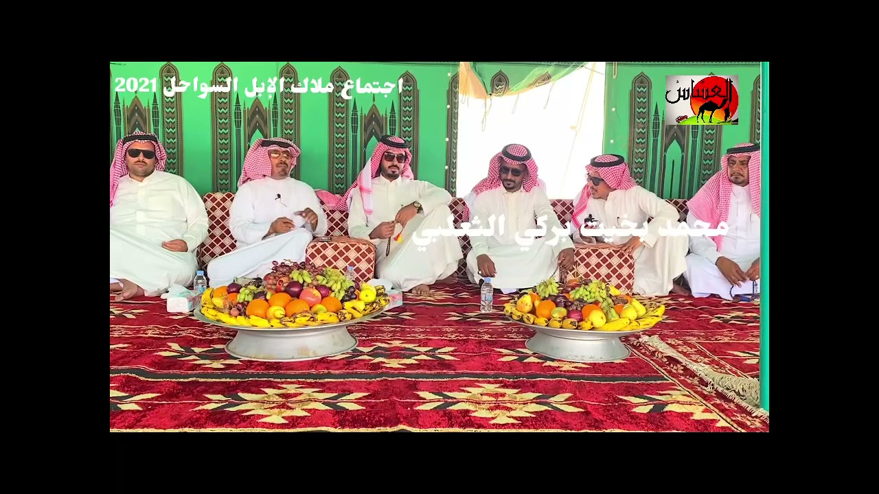 الحلقة الاولى من اجتماع كبار ملاك الإبل في ضيافة الشيخ / بخيت بركي الثعلبي وابنائه في مجيرمه 1442