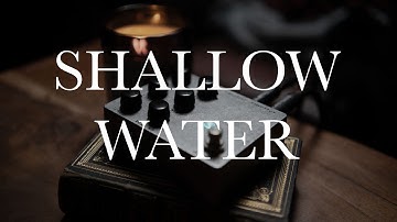 A TAPEY, LO-FI WARBLE BOX - Fairfield Circuitry Shallow Water