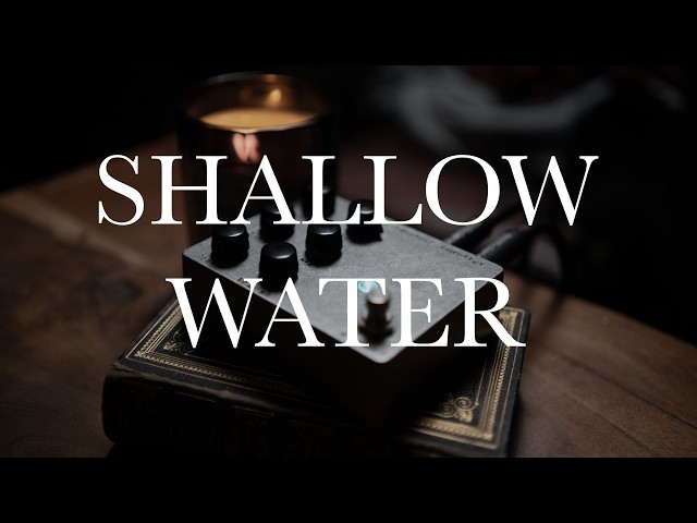 A TAPEY, LO-FI WARBLE BOX - Fairfield Circuitry Shallow Water