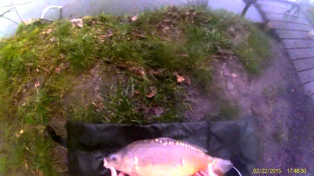 Copy of Action Camera! Carp Fishing at Aston Park fisheries 