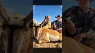 Alpine Texas Pronghorn Antelope