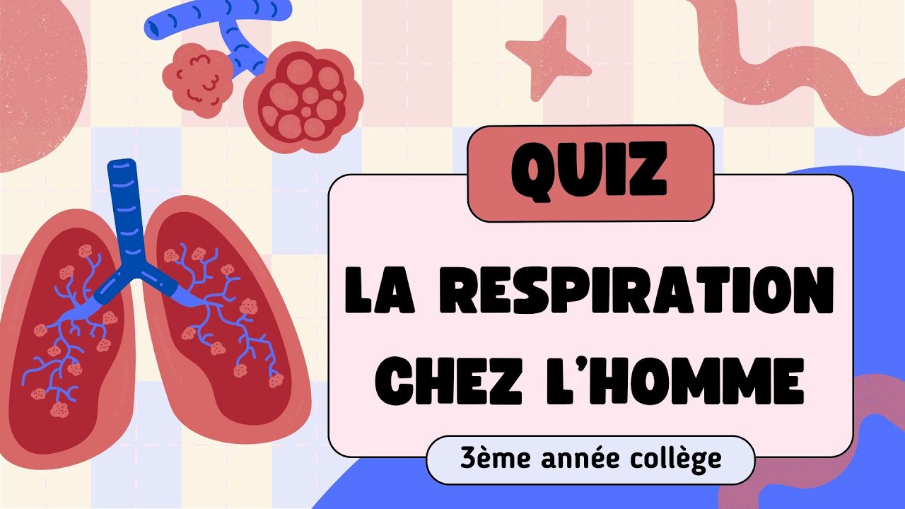 QCM corrigés : La respiration chez l’Homme – 3ème année collège