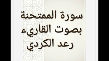 سورة الممتحنة بصوت القاريء رعد الكردي