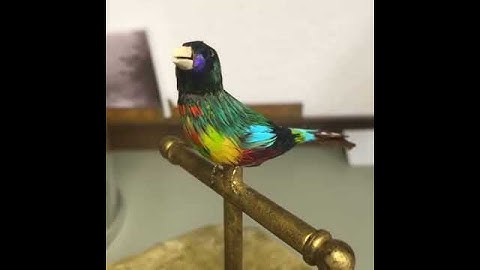 Restored mechanical singing bird