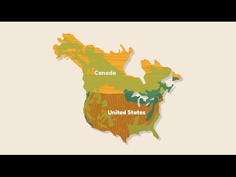 Wood Naturally -