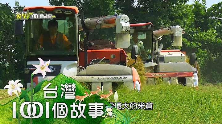 游牧割稻人逐稻而居  450公里南北长征 - 天天要闻
