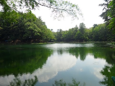 Telaga Remis Wisata Alam Yang Rindang, Sejuk dan Menentramkan