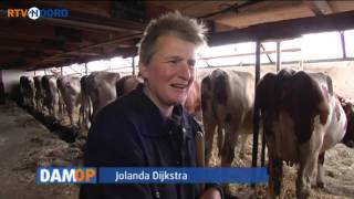 Dam Op in Lellens [14-2-2015] - RTV Noord