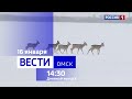 Косули уходят/Трагедия на трассе/Где откроются купели