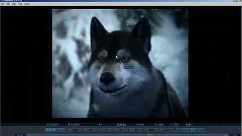 PDPLAYER - 3.Basics, Loading Clips, Playing Clips - video tutorial - Chris Nichols