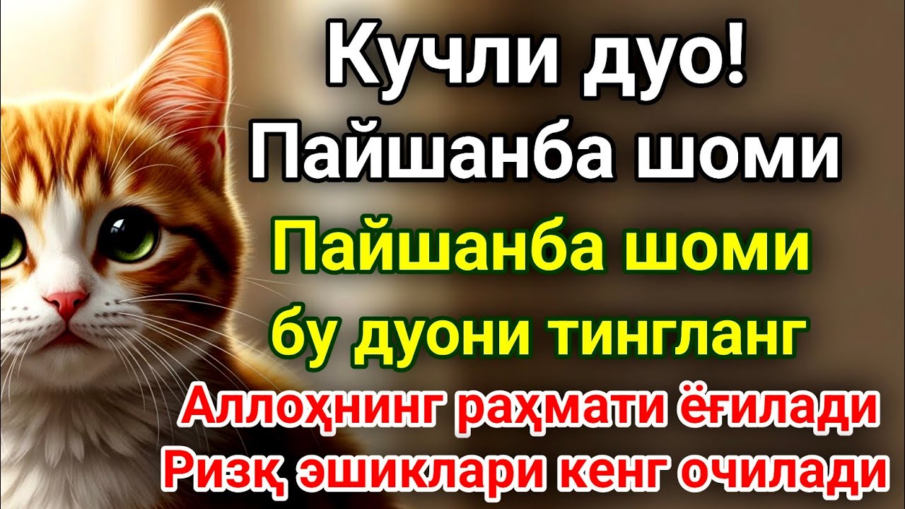 Берекали Пайшанба шомидаги энг кучли дуо!Оятул Курси — кучли ризқ дуоси