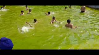 Download Lagu Swimming tym!!Entertainment time!!mandi MP3 Download Lagu Swimming tym!!Entertainment time!!mandi MP3