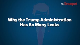 Why the Trump Administration Has So Many Leaks