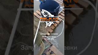 🚩Рыболовный клуб "Пеликан"д.Отяково Можайский г.о. Московская обл Телефон +79030073041
