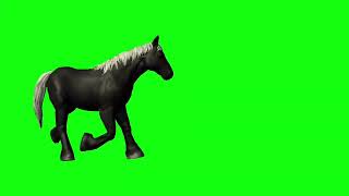 Horse green screen video / Horse green background / Green screen animals video