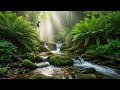 Restore Your Soul: Instant Calm in 8 Hours 🌙 Powerful Relaxing Music to End Stress & Anxiety