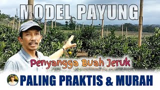 TUTORIAL CARA MEMASANG PENYANGGA BUAH JERUK YANG PRAKTIS DAN MURAH screenshot 3