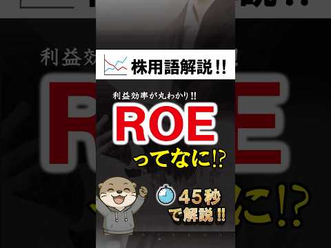 【45秒でわかる】ROEとは？利益効率を測る最重要指標🔥