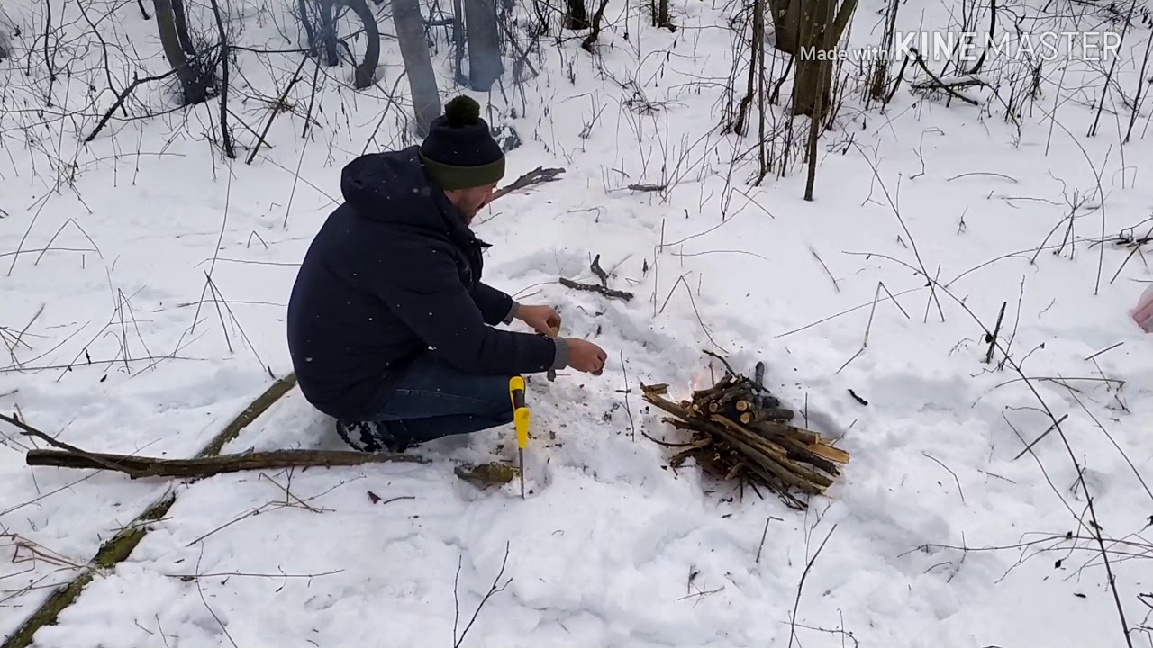 Зимняя прогулка в лес. - YouTube