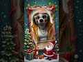 merry Christmas furry friends have a great one with family #santa time furry Christmas  eve