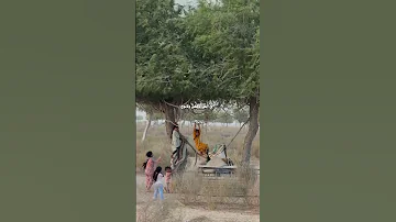 اذكر زمان قد مضى وراح مشاري بن نافل تصميم شيلات 