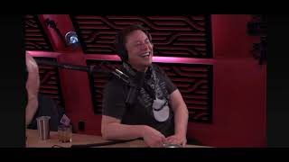 Elon Musk laughing hysterically about AI