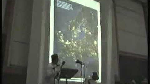 Shaykh Hamza Yusuf -- The Antichrist (Dajjal) and The New World Order