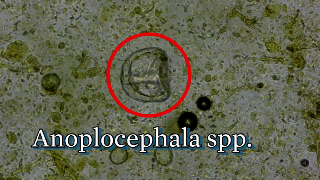 How to do a McMaster YouTube