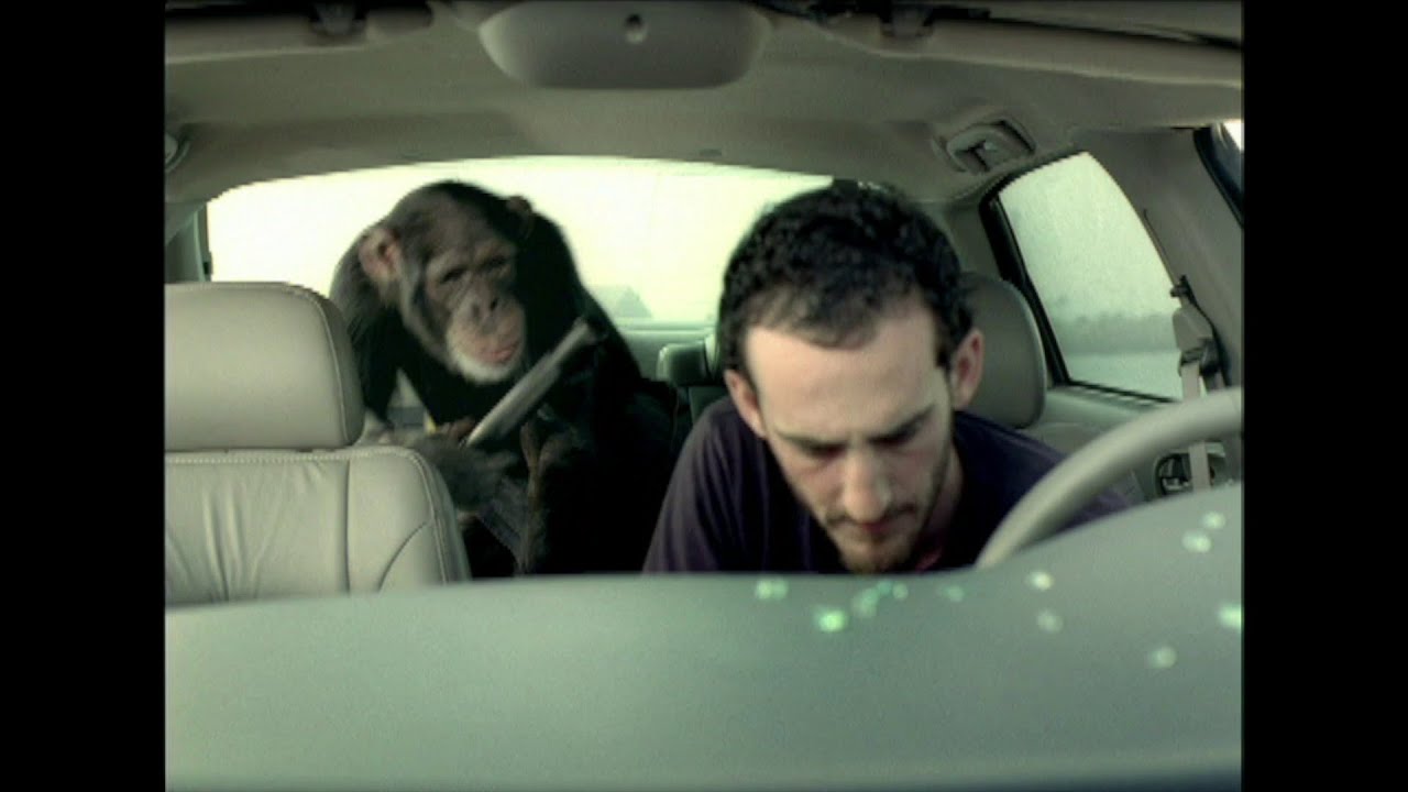 Taylor AutoMall Trunk Monkey Car Theft Retrieval System YouTube