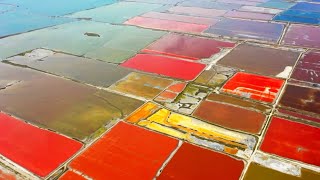 Salt lake in northern China turns into giant, multicolored palette