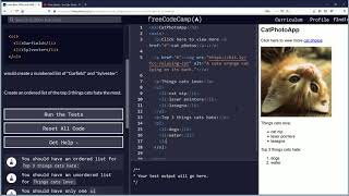 Create an Ordered List Free Code Camp org Basic HTML and HTML5