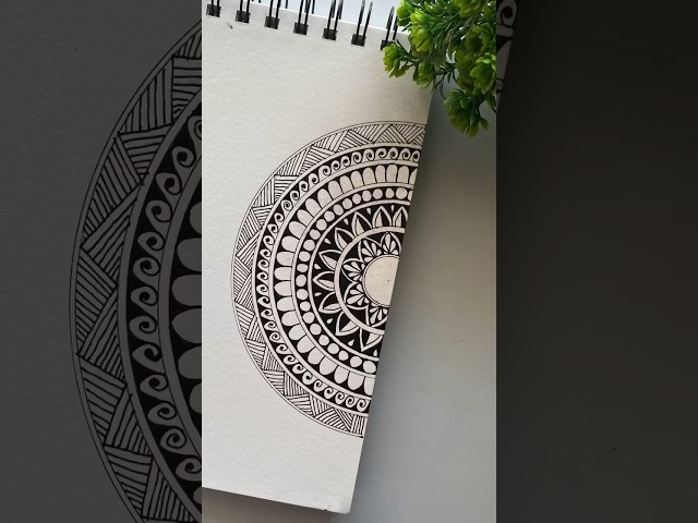 Draw a simple half-mandala with me 🌷✨ #mandalaforbegginers #trending #shorts #drawing #art #artist class=