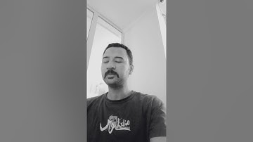 ما تيسر من سورة يوسف لـ محمود الطيب