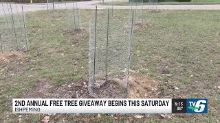 Ishpeming Lions Club offering free trees to help address food insecurity in the region