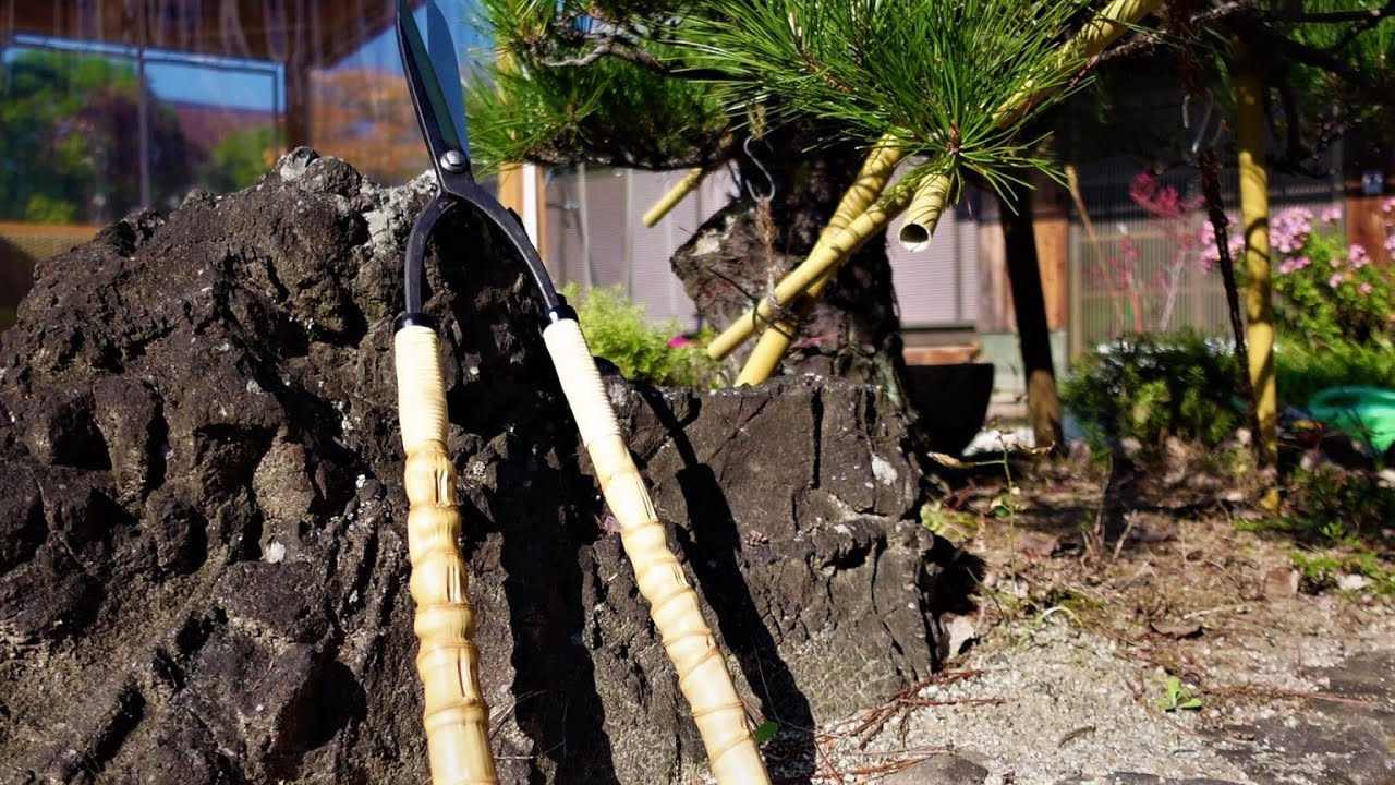 堺手打ち　正定　刈込鋏7寸　布袋竹 職人の道具】柄のない刈込鋏を買ったので布袋竹を据え付けました