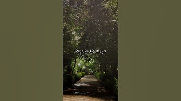 ياأيها الذين آمنوا توبوا إلى الله توبة نصوحا عسى ربكم أن يكفر | الآية من سورة التحريم #المصحف