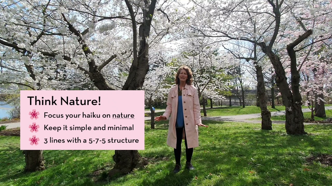 Buffalo Cherry Blossoms Reimagined 2021 Haiku Poetry with Paula Hinz